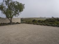 a large stone wall with some trees on top of it in the foggy day