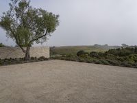 a large stone wall with some trees on top of it in the foggy day