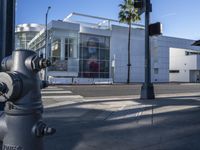 a silver fire hydrant sitting next to a street near a building by a traffic light