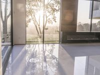 a large room with a glass door and a tree outside it and sun going through