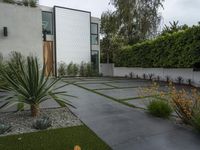 the house is built around an unusual courtyard of concrete and plants, and also has a modern design