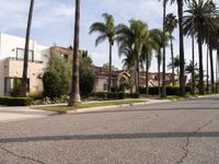 Modern Architecture in Los Angeles Residential Areas