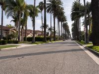 Modern Architecture in Los Angeles Residential Areas