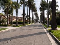 Modern Architecture in Los Angeles Residential Areas