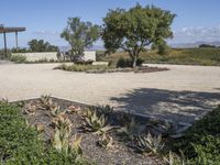 Modern Architecture in a Los Angeles Suburb