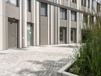 a city building with windows and doors, a brick path and grass in front of it