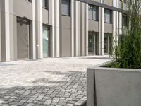 a city building with windows and doors, a brick path and grass in front of it