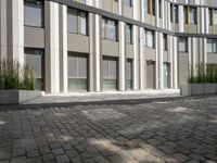 a bench on the outside patio of a large modern building near trees and other plants