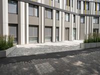 a bench on the outside patio of a large modern building near trees and other plants