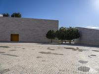 a brick plaza with trees on each side of it and a yellow door in the middle