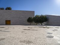 a brick plaza with trees on each side of it and a yellow door in the middle