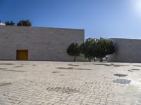 a brick plaza with trees on each side of it and a yellow door in the middle