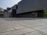 the large building has several black walls in it and a dog laying on the ground outside