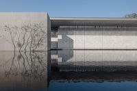 the reflection in a pool of water shows the wall, and tree, with its shadow