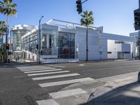 a stop light near a white building with palm trees surrounding it and on the street