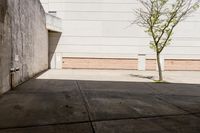 skateboarder standing on cement with buildings in background with sunlight on ground below wall