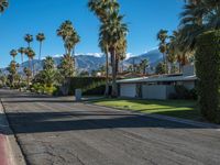 palm trees lining an empty street next to mountains in the distance, with cars parked on both sides of the street