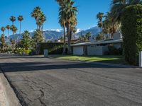 palm trees lining an empty street next to mountains in the distance, with cars parked on both sides of the street