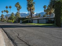 palm trees lining an empty street next to mountains in the distance, with cars parked on both sides of the street