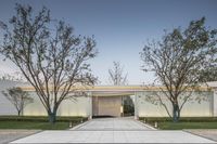 an empty walkway is next to some trees with trees near by it with a glass wall on