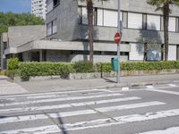 crosswalk in front of modern urban apartment building with palm trees behind it and street signs next to