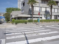 crosswalk in front of modern urban apartment building with palm trees behind it and street signs next to
