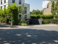 an empty street with an intersection of some trees and bushes in the foreground,