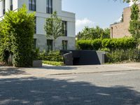 an empty street with an intersection of some trees and bushes in the foreground,