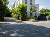 an empty street with an intersection of some trees and bushes in the foreground,