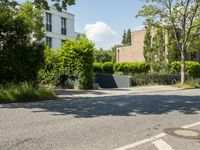 an empty street with an intersection of some trees and bushes in the foreground,