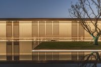 a reflection of trees in an empty pool with lighting on the walls and green lawn on the ground