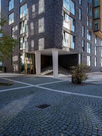 a building with windows and glass doors sits in a courtyard with a brick walkway and potted plants