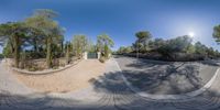 an image of the sun shines on trees and roads and driveways through a fisheye lens