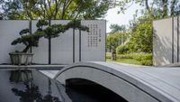 a large bonsai tree in a glass vase at the entrance to a building that has a curved wall