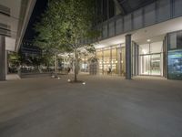 a tree sits in the middle of an open space of a building with multiple levels