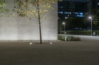 a tree stands in front of a building at night with lights on in a city