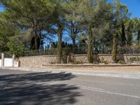 a driveway near some trees in the park area of a house with stone walls and stairs on each side