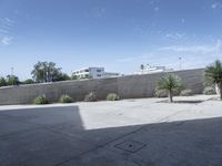 a concrete wall with a building next to it near a palm tree and other plants