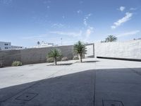 a concrete wall with a building next to it near a palm tree and other plants