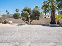 Modern Architecture on Suburban Roads in Palm Springs