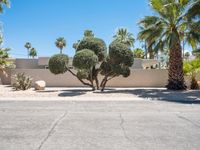 Modern Architecture on Suburban Roads in Palm Springs