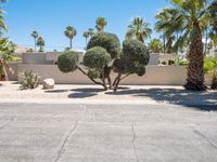 Modern Architecture on Suburban Roads in Palm Springs