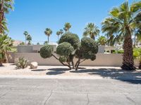 Modern Architecture on Suburban Roads in Palm Springs