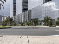 Modern Architecture in Tenerife: Skyscraper with Glass Walls