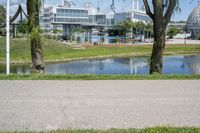 trees in front of a lake near a building and park with a skateboard hanging from it