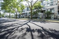 a tree lined sidewalk next to two tall buildings in a residential area surrounded by tall trees