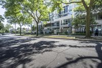 a tree lined sidewalk next to two tall buildings in a residential area surrounded by tall trees