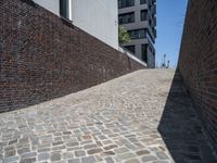 a sidewalk is shown with many bricks, with one light and the other shadow over it