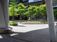 a sidewalk with trees and benches on it under a tall metal structure in the city