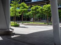 a sidewalk with trees and benches on it under a tall metal structure in the city